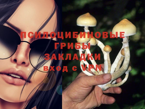 кристаллы Ельня