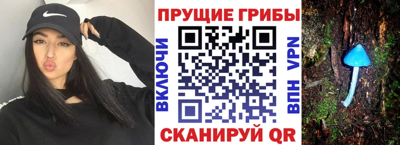 Псилоцибиновые грибы Magic Shrooms  Сельцо 