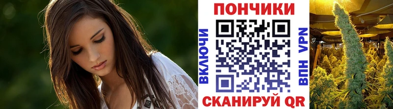 Бошки Шишки сатива  mega ссылки  Сельцо 